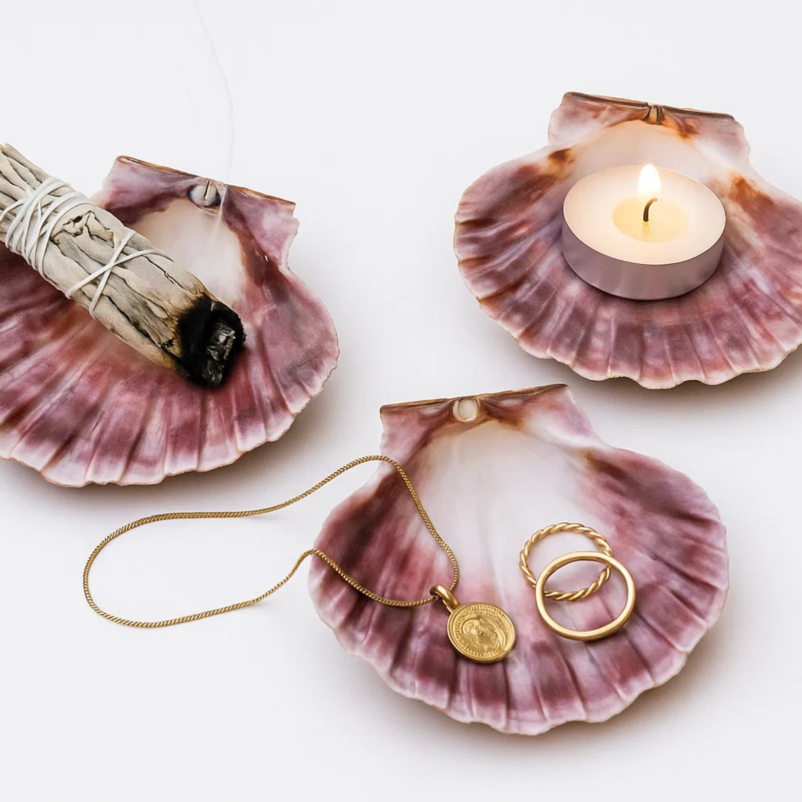 Sint-jakobsschelp Altaarschaal & Brander