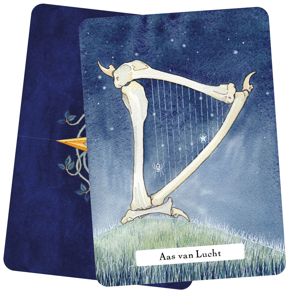 De heksenwijsheid, Tarot set. Deck met 78 originele kaarten. Nederlands