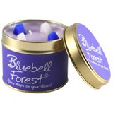 Set lily flame Bluebell Forest
