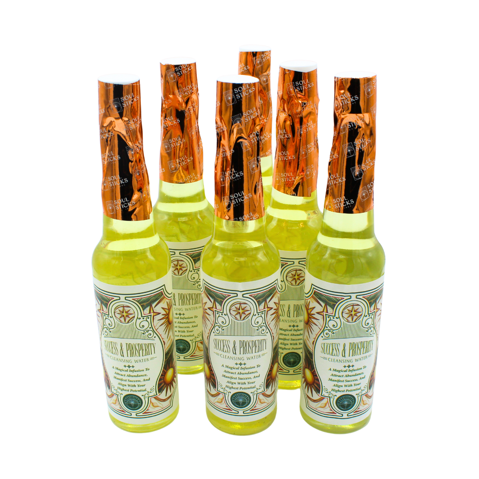 Success &amp; Prosperity reinigingswater 221 ml