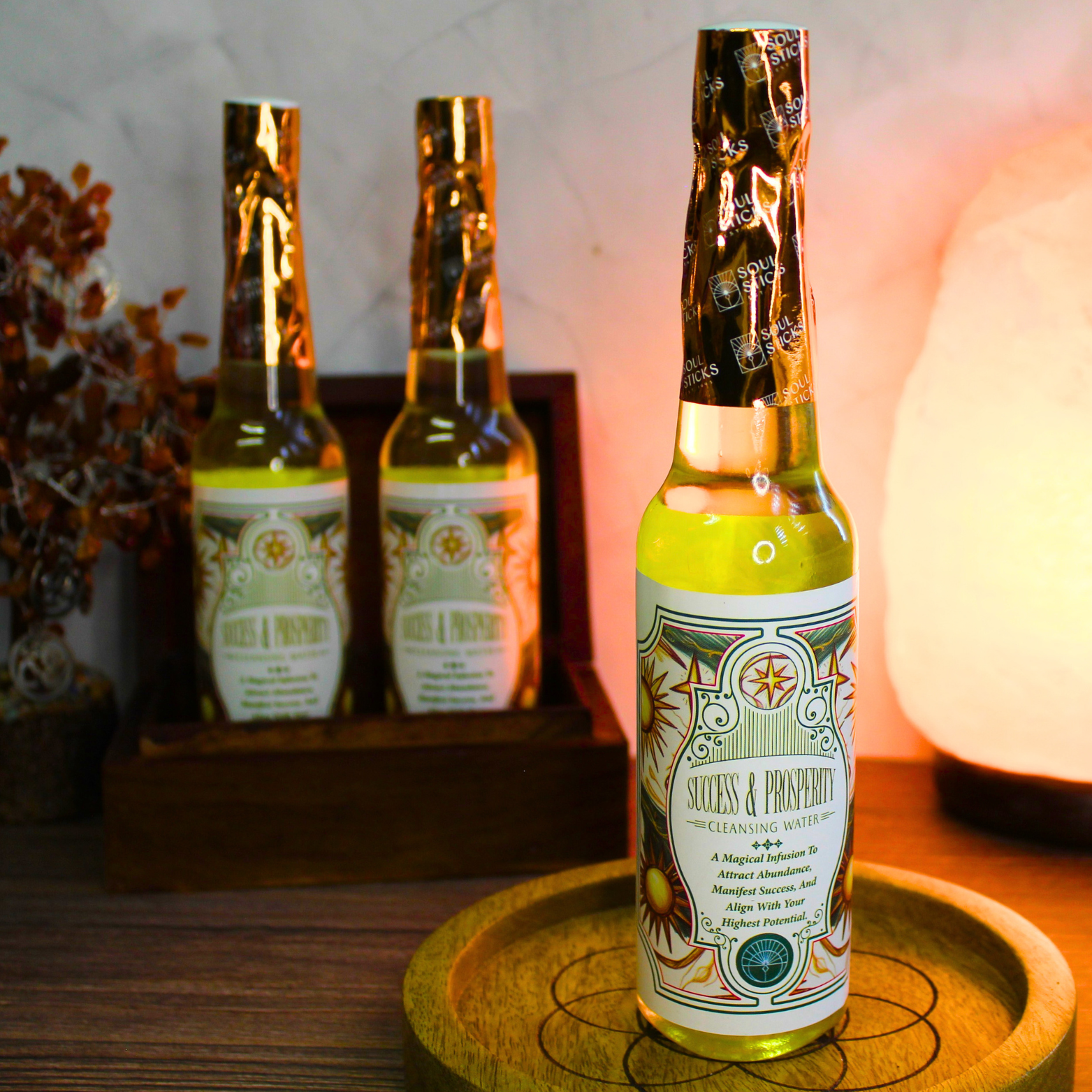 Success &amp; Prosperity reinigingswater 221 ml